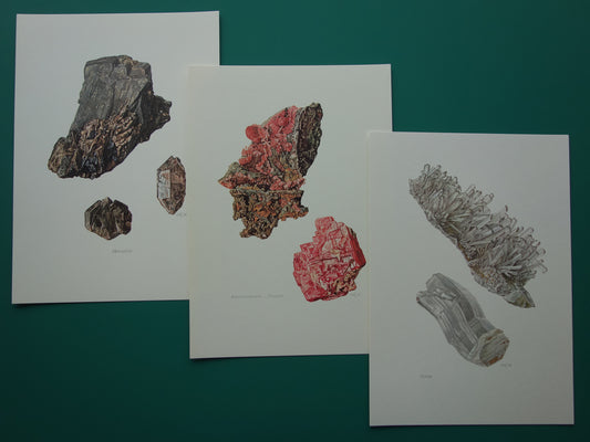 Mineralen Set van drie oude prenten Monaziet Gips Rhodochrosiet 3 vintage mineraal prints kristallen edelstenen illustratie