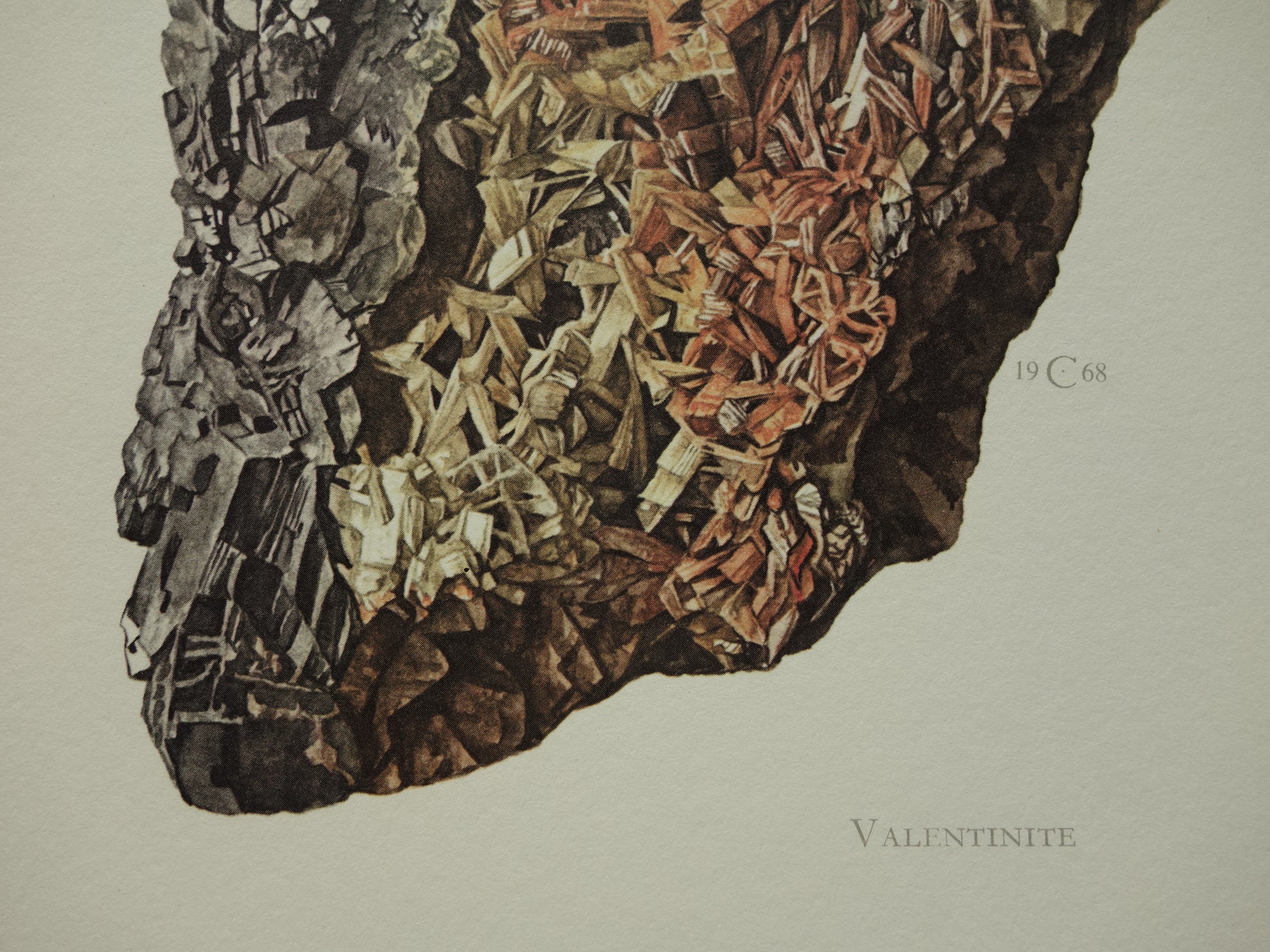 Valentiniet oude prent illustratie vintage