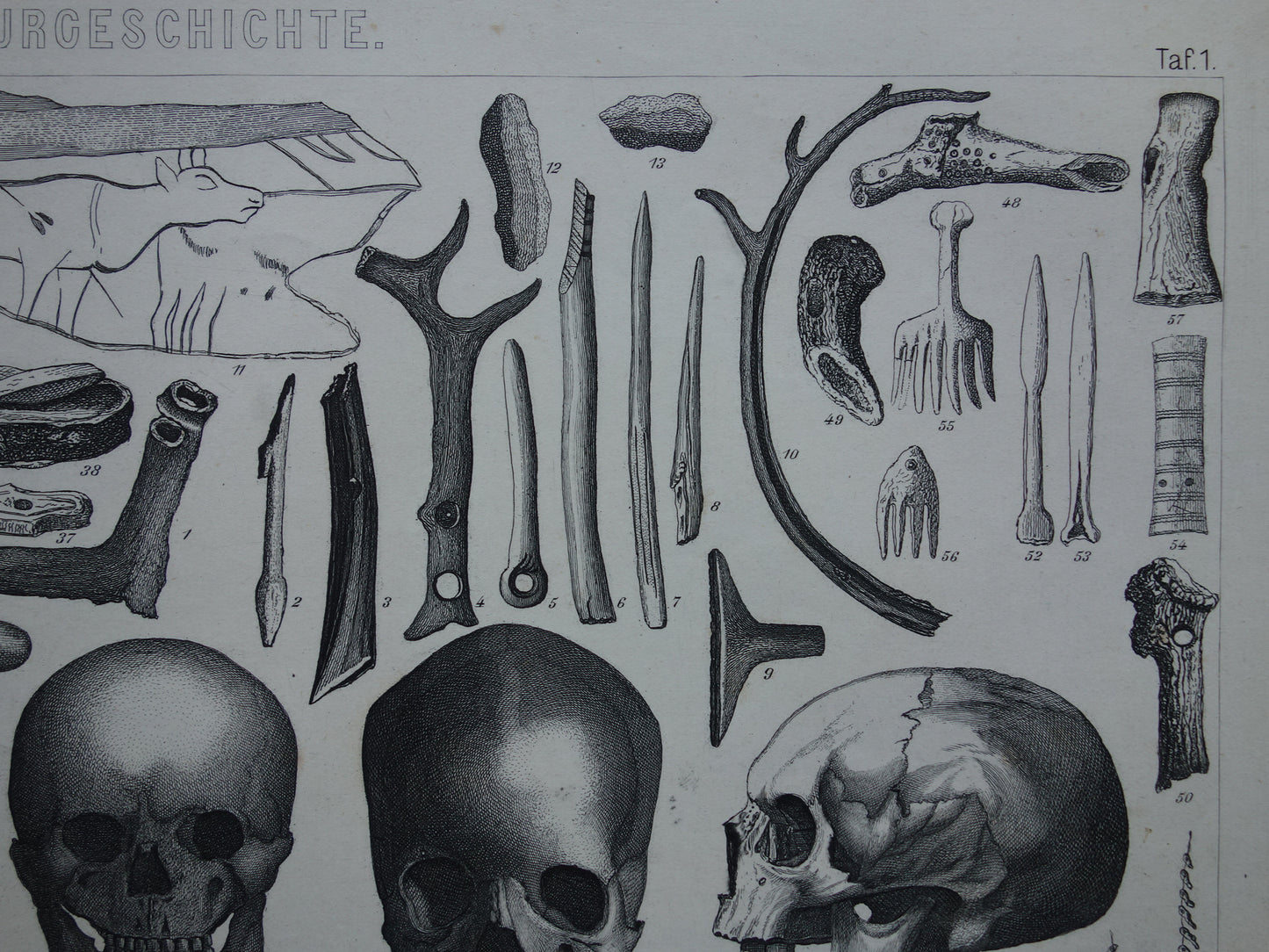 Oude geschiedenis prent over gebruiksvoorwerpen uit ijstijd en steentijd plus prehistorie schedels originele antieke print uit 1870