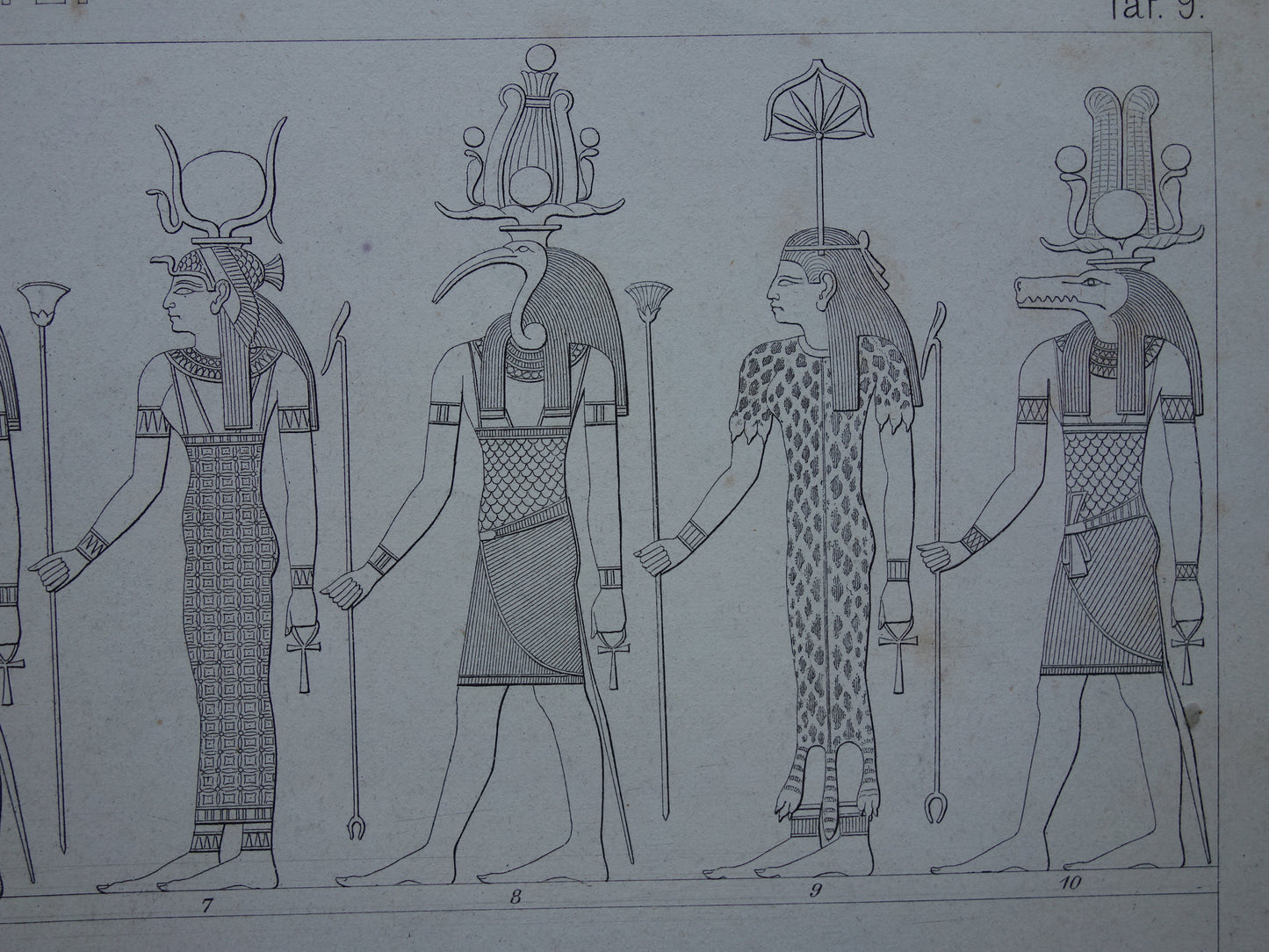 Oude prent over Egyptische Goden 1870 originele antieke illustratie Isis Horus Anubis in de oudheid - Egyptologie geschiedenis prints