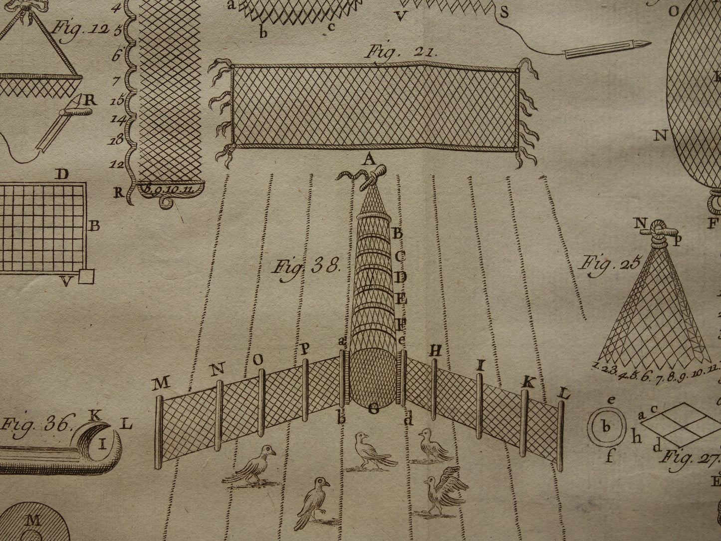 Alter Druck über das Fangen von Vögeln aus dem Jahr 1751. Wilderei-Vogelnetz. Original antiker Druckstich